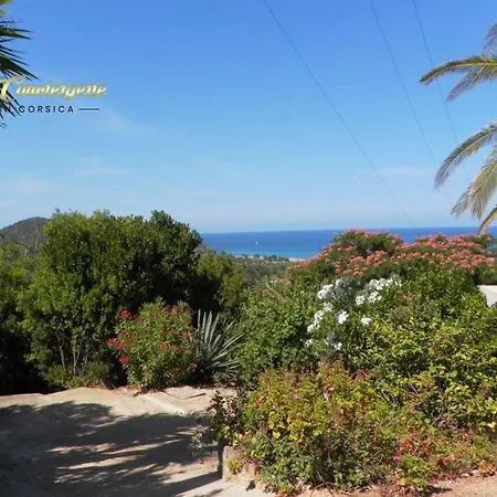 Appt Plein Pied Terrasse Toit Vue Sur Mer A 5 Min De La Plage De La Testa
