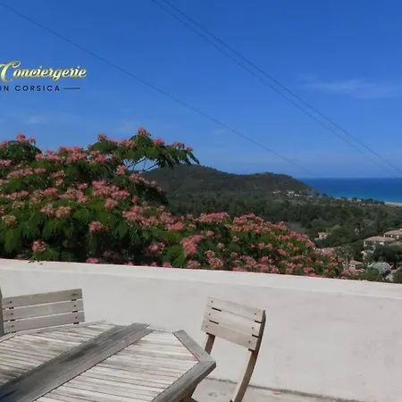 Appt Plein Pied Terrasse Toit Vue Sur Mer A 5 Min De La Plage De La Testa